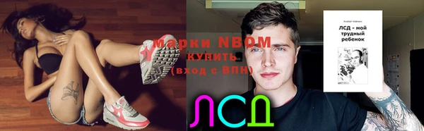 молекула духа Ростов