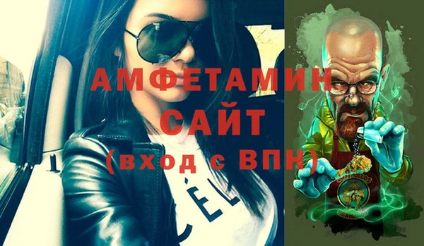 стаф Алзамай