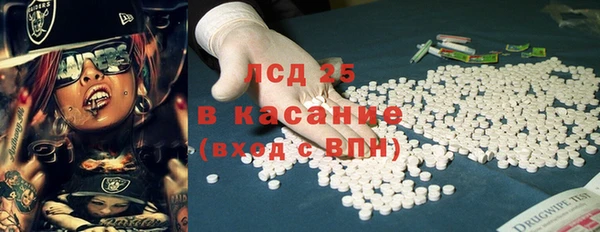 стаф Алзамай