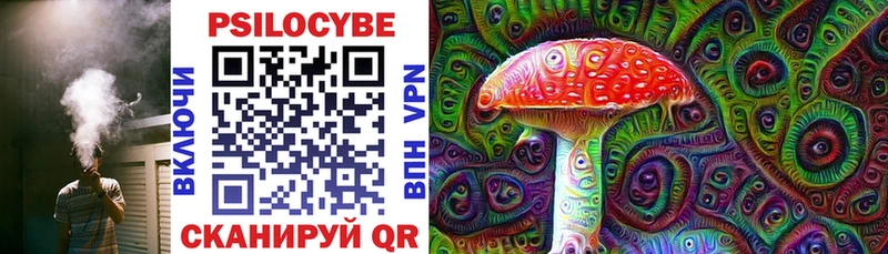 Псилоцибиновые грибы MAGIC MUSHROOMS  MEGA tor  Весьегонск 